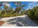 Scenic driveway lined with mature trees and lush vegetation, offering a private and secluded entrance at 9144 Spring Valley Rd, Englewood, FL 34224