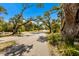 Scenic shot of a peaceful road, framed by majestic trees and lush greenery, evokes a sense of tranquility and natural beauty at 9144 Spring Valley Rd, Englewood, FL 34224