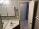 Bathroom with a decorative mirror and sink at 13561 Darnell Ave, Port Charlotte, FL 33981