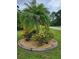 Lush landscaping featuring a mature palm tree and colorful plants within a circular rock garden at 142 Yellow Pine Dr, Rotonda West, FL 33947