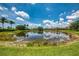 Scenic pond surrounded by lush greenery and palm trees, reflecting the blue sky and fluffy clouds at 2692 Wax Myrtle Ct, Port Charlotte, FL 33953