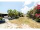 Spacious backyard featuring palm trees, a colorful shed, and potential for outdoor activities near the screened-in pool at 7234 Mamouth St, Englewood, FL 34224