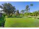 Expansive backyard with lush green grass and mature trees providing shade and privacy at 116 Tournament Rd, Rotonda West, FL 33947