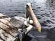 Pelican lounging on a dock, capturing the essence of waterfront tranquility at 180 N Gulf Blvd # 5, Placida, FL 33946