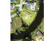 Aerial view showcasing property lines, water access, lush landscaping, and a private pool at 22589 Nyack Ave, Port Charlotte, FL 33952
