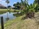 Backyard view of a serene pond, accented by tropical plants and dock at 22589 Nyack Ave, Port Charlotte, FL 33952