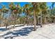 Picturesque view of palm trees casting shadows on the exterior, enhancing the property's tropical appeal at 6430 Manasota Key Rd, Englewood, FL 34223