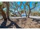 Beautiful home with mature trees enhancing the privacy and curb appeal of this residence at 6430 Manasota Key Rd, Englewood, FL 34223