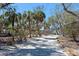 Landscaped yard with tropical trees surrounding a gray home, creating a serene outdoor space at 6430 Manasota Key Rd, Englewood, FL 34223