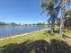 Stunning lake view framed by swaying palm trees and manicured lawn creates tropical paradise at 9064 Bantry Bay Blvd, Englewood, FL 34224