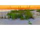 Picture of beach foliage at sunset on the property at 9270 Little Gasparilla Is, Placida, FL 33946