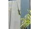Green anole lizard on white fence by plants at 9270 Little Gasparilla Is, Placida, FL 33946