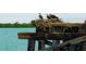 Picture of birds on a nest sitting atop a pier on the property at 9270 Little Gasparilla Is, Placida, FL 33946