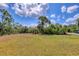 Large backyard with lush greenery, perfect for outdoor activities and relaxation at 10242 Hallendale Dr, Port Charlotte, FL 33981