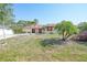 Charming single-story home featuring mature palm trees, a well-manicured lawn, and blooming flower beds at 13080 Proctor Ave, Port Charlotte, FL 33981