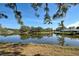 Scenic lake view with lush trees reflecting in the clear water under a bright blue sky at 232 Southampton Ln # 259, Venice, FL 34293