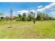 An expansive backyard with a lush lawn surrounded by trees and foliage on a sunny day at 398 Sunset N Rd, Rotonda West, FL 33947