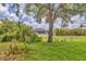 Spacious backyard with mature landscaping provides a private oasis at 59 White Marsh Ln, Rotonda West, FL 33947