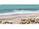 Beautiful beach with gentle waves, a sandy shoreline, and a natural rock barrier at 7420 Manasota Key Rd, Englewood, FL 34223