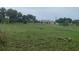 View of a expansive grassy front yard with scattered trees and a house visible in the background at 1 Clubhouse Rd, Rotonda West, FL 33947