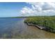 Scenic aerial view of the wooden walkway into the mangroves and tranquil bay waters under a partly cloudy sky at 1040 Caples St, Englewood, FL 34223