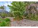 Beautiful tropical backyard with lush landscaping and a screened-in patio at 365 Capstan Dr, Placida, FL 33946