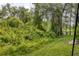 Lush backyard with mature trees and greenery provides privacy and natural beauty at 8228 Villa Grande Ct, Sarasota, FL 34243