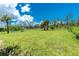 Sprawling backyard with vibrant green grass and mature trees, offering endless possibilities for outdoor activities and recreation at 1119 Boundary Blvd, Rotonda West, FL 33947