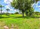 Expansive backyard featuring lush green grass and mature trees near a waterfront canal at 34 Broadmoor Ln, Rotonda West, FL 33947