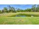 Picturesque pond surrounded by lush greenery, offering a serene natural view at 576 Box Elder Ct, Englewood, FL 34223