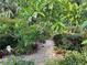 Stone walkway through beautiful landscaping with various trees, plants, and shrubs at 1733 Belvidere Rd, Englewood, FL 34223