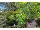 Lush landscaping featuring winding stone pathway and a variety of green plants and trees at 1733 Belvidere Rd, Englewood, FL 34223