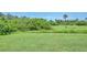 The verdant green backyard features lush landscaping and mature trees at 200 Arlington Dr, Placida, FL 33946