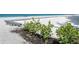 Beautiful landscaping with lush green plants and natural mulch bordering the sandy beach area at 50 Meredith Dr # 9, Englewood, FL 34223