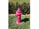Pink fire hydrant in Valencia Del Sol community at 5013 Sevilla Shores Dr, Wimauma, FL 33598