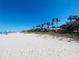 Beautiful beachfront property with swaying palms and a clear blue sky at 933 Harbor S Dr, Venice, FL 34285