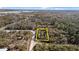 High shot of property surrounded by woodland with light road nearby at 7157 Knoxville Dr, Webster, FL 33597