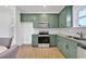 Well-equipped kitchen with stainless steel appliances and stylish olive green cabinets at 9608 Brave Buck Ave, Land O Lakes, FL 34638