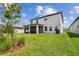 Picture of a large, well-maintained backyard featuring lush green grass, landscaping, and a covered patio at 11728 June Briar Loop, San Antonio, FL 33576
