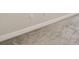 Bedroom with grey carpet, white baseboards, and neutral wall paint at 11728 June Briar Loop, San Antonio, FL 33576