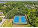 Aerial shot of neighborhood tennis courts with blue and green court and surrounding mature trees at 17904 Singing Wood Pl, Lutz, FL 33548