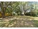 Large, fenced backyard with mature trees offering plenty of privacy and space for outdoor activities at 17904 Singing Wood Pl, Lutz, FL 33548