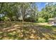 Expansive, tree-filled backyard provides shade and serenity, perfect for outdoor enjoyment and relaxation at 17904 Singing Wood Pl, Lutz, FL 33548