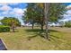 Lush backyard features mature trees, well maintained lawn, and a community view at 14820 Potterton Cir, Hudson, FL 34667