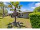 Lush backyard with green grass and a mature palm tree at 14820 Potterton Cir, Hudson, FL 34667