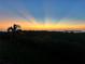 Picturesque sunset over the water with a silhouette of a palm tree in the foreground at 7020 Hawks Harbor Cir, Bradenton, FL 34207
