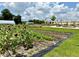 Community garden showing raised plots, greenery, and a white greenhouse and pergola structure in the background at 17677 Nectar Flume Dr, Land O Lakes, FL 34637