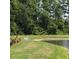 This property features a lovely pond with lush greenery and wildlife at 17677 Nectar Flume Dr, Land O Lakes, FL 34637
