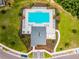 Aerial view of a community pool with plenty of lounge chairs, palm trees, and well-manicured green space at 17677 Nectar Flume Dr, Land O Lakes, FL 34637