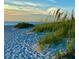 Stunning beach view with white sand, sea grass, and turquoise water creating a peaceful coastal scene at 401 Sunset Dr, Venice, FL 34285